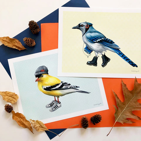 North American Bird illustrations by canadian artist Amelie Legault 