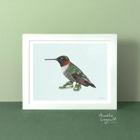 hummingbird artwork, hummingbird illustration, amelie legault, north american artwork, bird illustration, canadian bird, bird painting, bird wearing shoes