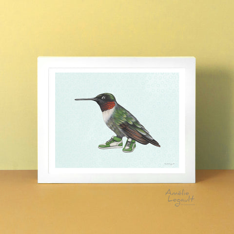 affiche d'oiseau colibri, colibri à gorge rubis, amélie Legault, illustration d'oiseau du Québec, colibri en souliers 