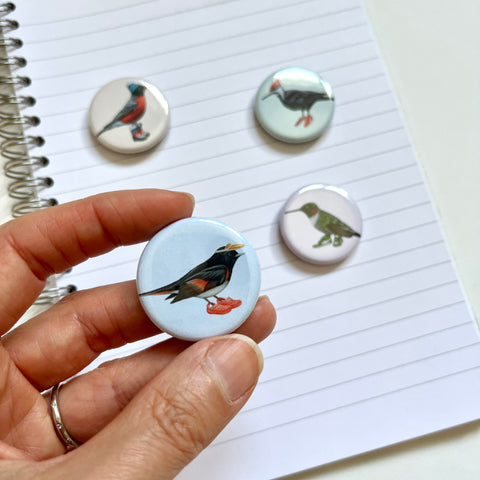 NEW - More Fashionable Birds Fridge Magnets (set of 4)