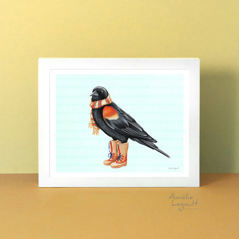 affiche d'oiseau, oiseau carouge à épaulette en bottes d'hiver par l'artiste Amélie Legault, bird art print, bird painting, american red winged christmas card by canadian artist Amelie Legault 