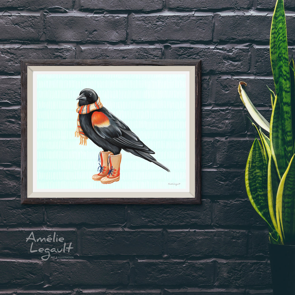 Illustration d'oiseau du québec, oiseau canadien, affiche de carouge à épaulettes par l'artiste Amélie Legault