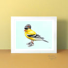 Affiche de chardonneret, illustration d'oiseau chardonneret, souliers, oiseau jaune, oiseau du québec, amélie legault, oiseau du canada, tuque