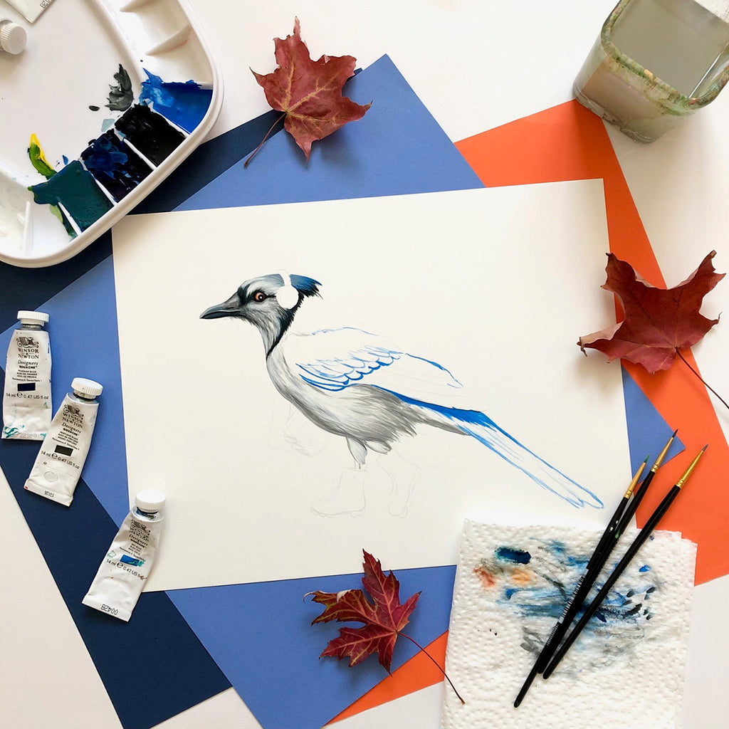 Blue Jay illustration, blue jay artwork, blue jay painting, blue jay art print, blue jay decoration, amelie legault, canadian bird, canadian artist, boots, blue walkman
