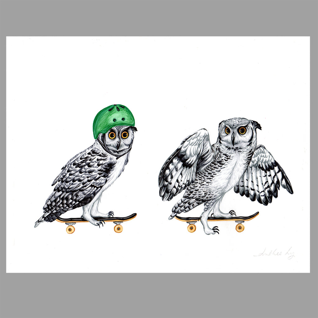 Skateboarding Owls - Original Art - Amelie Legault