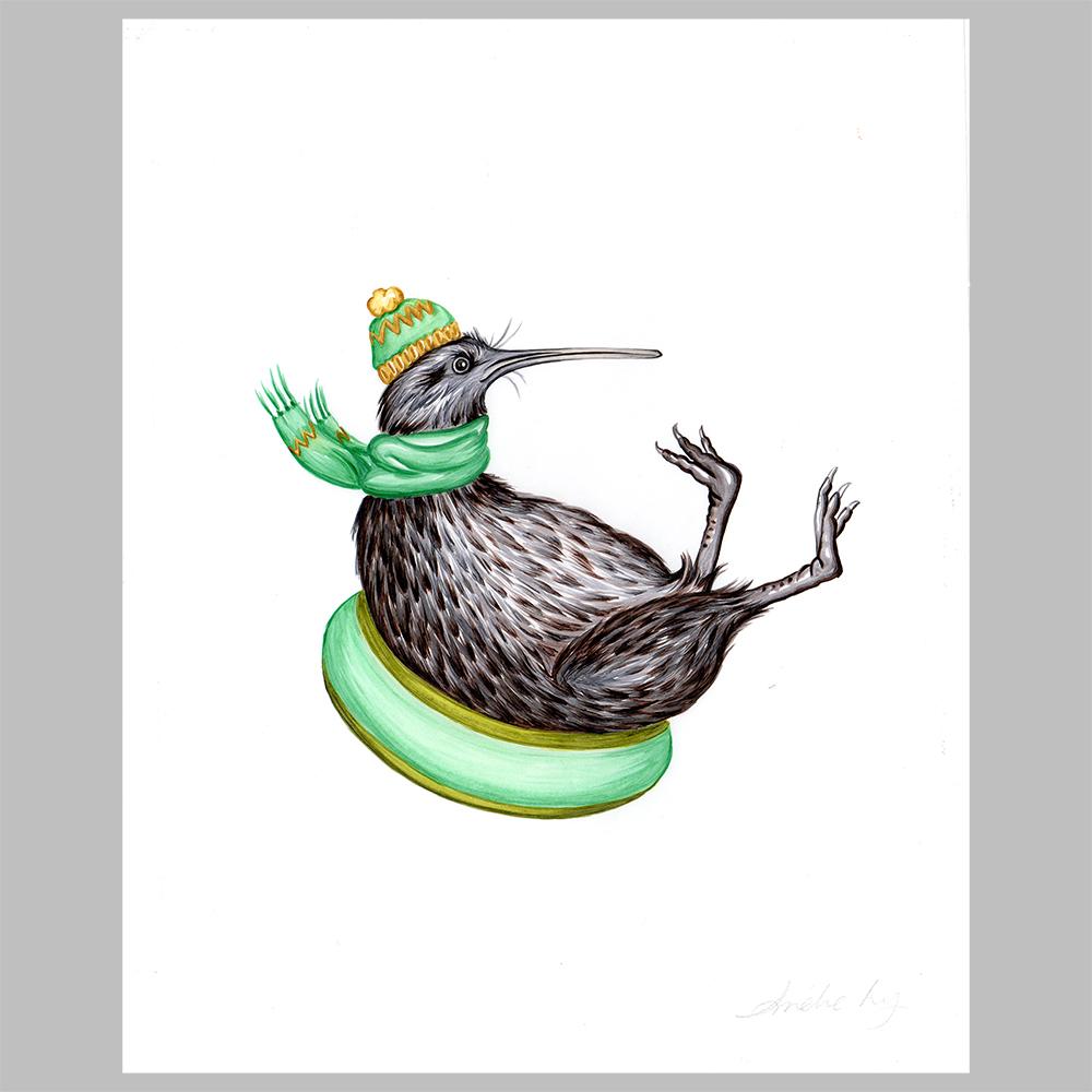 kiwi bird illustration, original artwork, amelie legault, slide, new zealand