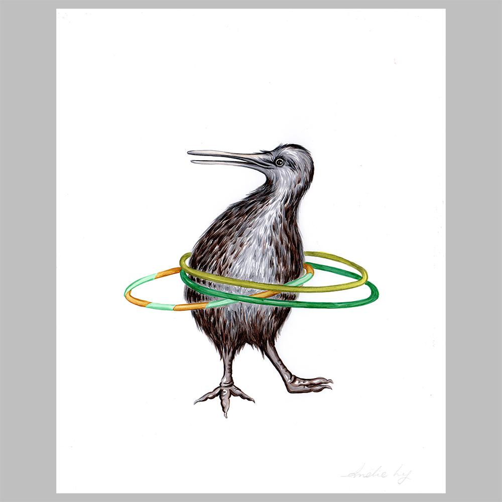 Kiwi bird illustration, amelie legault, original artwork, hula hoop, new zealand