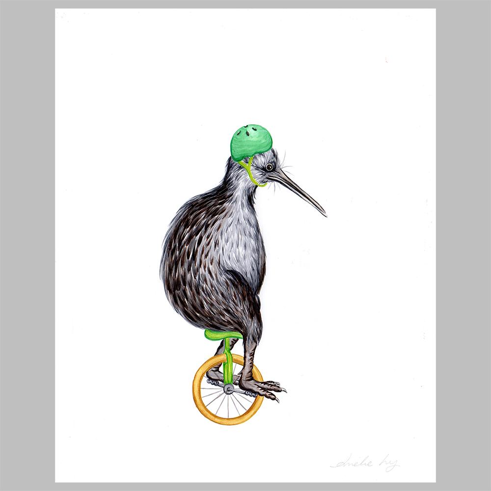 Kiwi bird illustration, original artwork, amelie legault, unicycle, new zealand